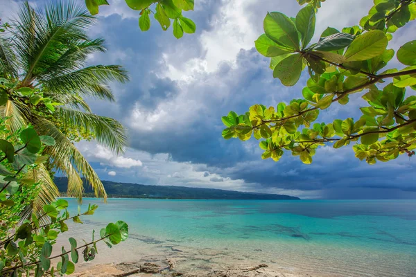 palmiye ağaçları ile vahşi plaj tropikal lagün üzerinde