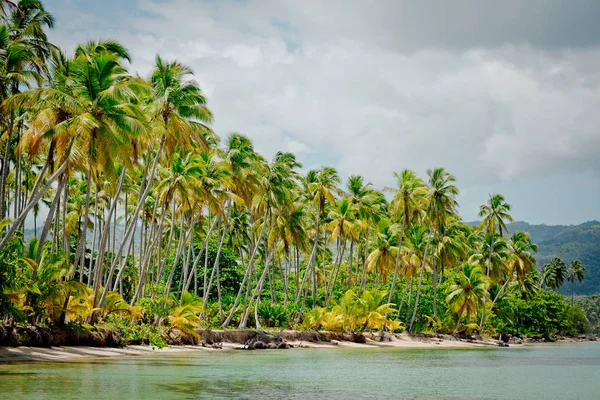 palmiye ağaçları ile vahşi plaj tropikal lagün üzerinde