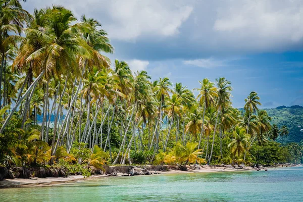 Palm trees over tropical lagoon with wild beach — Stock Photo, Image