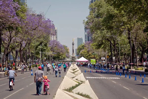 Architecture moderne et bâtiment du Musée dans le centre de Mexico — Photo