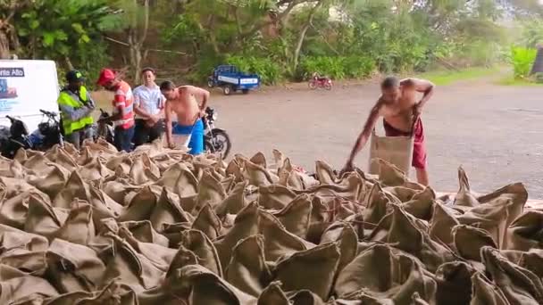 La gente trabaja en la fábrica de café . — Vídeo de stock