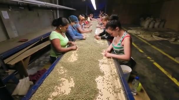 Menschen arbeiten in Kaffeefabrik. — Stockvideo
