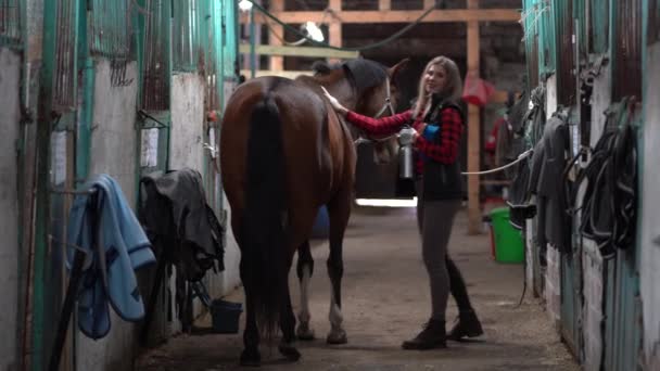 Een mooi meisje in een modieus shirt is het schoonmaken van een bruin paard in de stal — Stockvideo