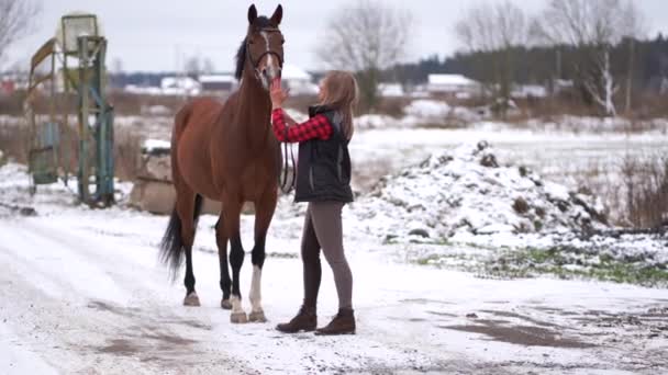 A beautiful girl in a fashionable shirt walks with trakehner horse in early winter. — Stock Video