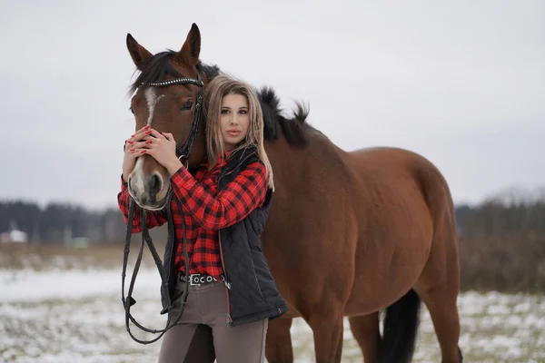 A beautiful girl in a fashionable shirt walks with broun horse in early winter. space for text on white background — Stock Photo, Image