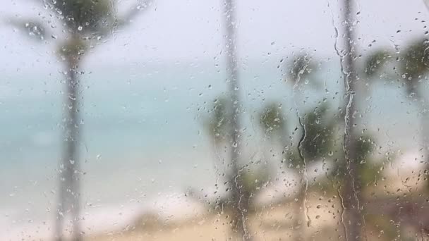 Assistindo a um furacão tropical na costa através de vidro encharcado chuva — Vídeo de Stock