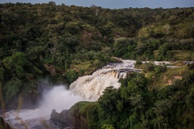 Güçlü Murchison, Afrika 'daki Nil Nehri' nin üst kısımlarına düşüyor.