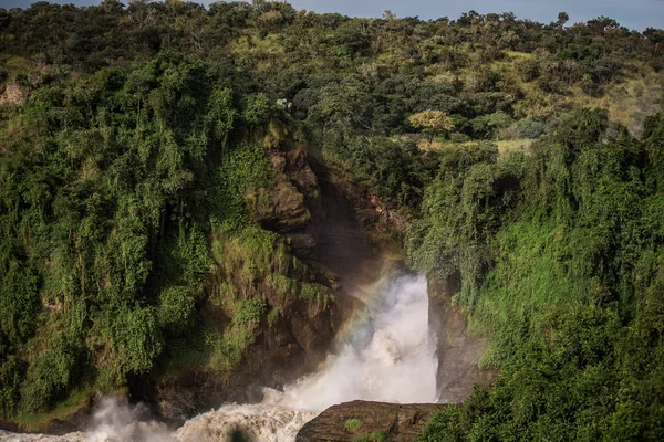 Güçlü Murchison, Afrika 'daki Nil Nehri' nin üst kısımlarına düşüyor.