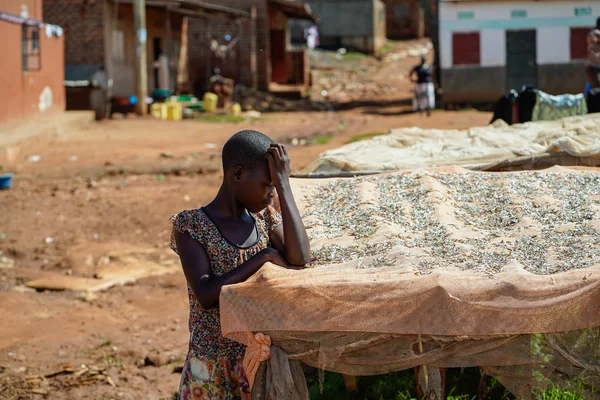 Diciembre de 2019. África, Uganda, aldea. Una chica de piel oscura, de pie apoyada en una estructura para secar redes con pequeños peces del lago, pensó: — Foto de Stock