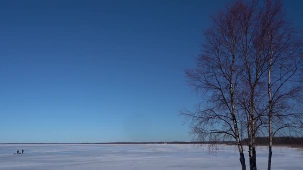 Μινιμαλιστικό χειμερινό τοπίο, λίμνη καλυμμένη με δέντρα και χιόνι. — Αρχείο Βίντεο