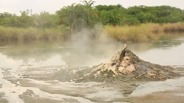 Oben auf einer heißen Quelle im Tal der Geysire, im afrikanischen Dschungel — Stockvideo