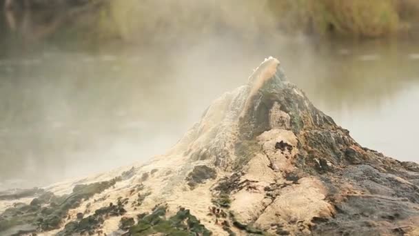 Top of a hot spring in the valley of geysers, in the African jungle — Stock Video