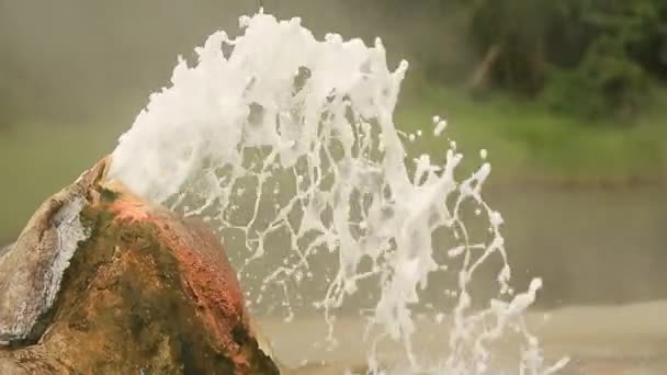 Рядом с струей горячей воды. Вершина горячего источника в долине гейзеров, в африканских джунглях — стоковое видео