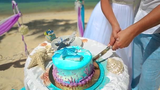 La novia y el novio juntos cortar el pastel de bodas y ponerlo en un plato — Vídeos de Stock