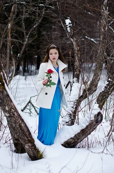 美しい女の子の冬のポートレート — ストック写真