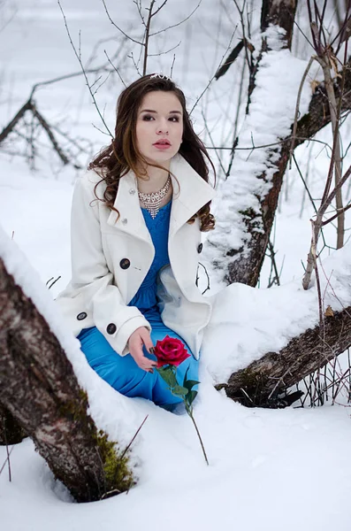 Retrato de inverno de uma menina bonita — Fotografia de Stock