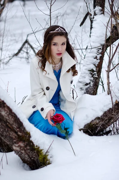 Retrato de inverno de uma menina bonita — Fotografia de Stock