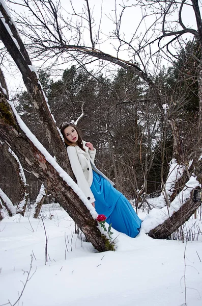 Winterporträt eines schönen Mädchens — Stockfoto