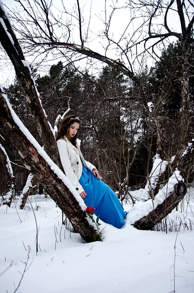 Vintern porträtt av en vacker flicka — Stockfoto