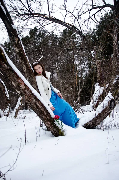 Зимний портрет красивой девушки — стоковое фото