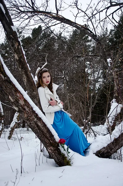 Winter portret van een mooi meisje — Stockfoto