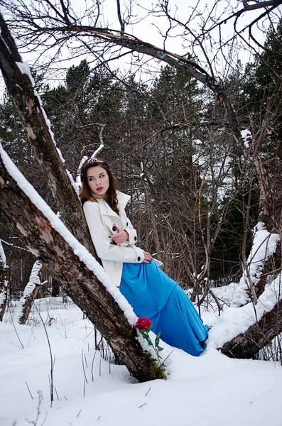 Retrato de inverno de uma menina bonita — Fotografia de Stock