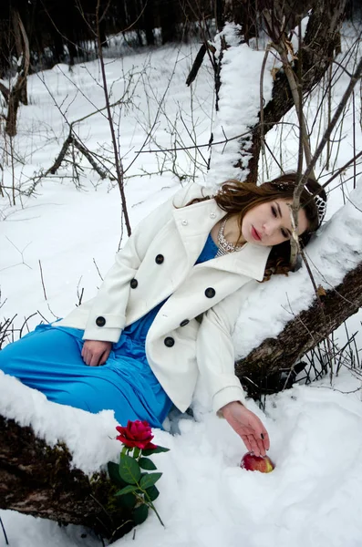 Retrato de inverno de uma menina bonita — Fotografia de Stock