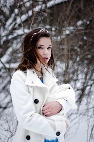 Retrato de invierno de una hermosa chica — Foto de Stock