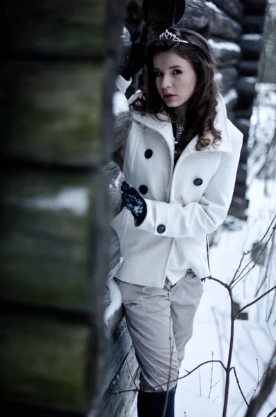 Зимовий портрет красивої дівчини — стокове фото
