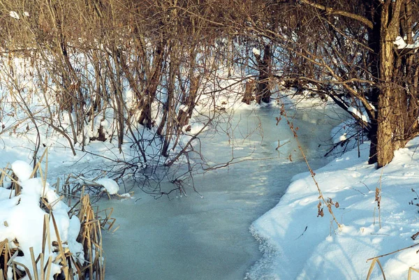 Η ομορφιά της φύσης του χειμώνα — Φωτογραφία Αρχείου