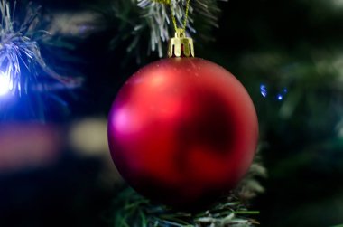 Ağaçta noel süsü