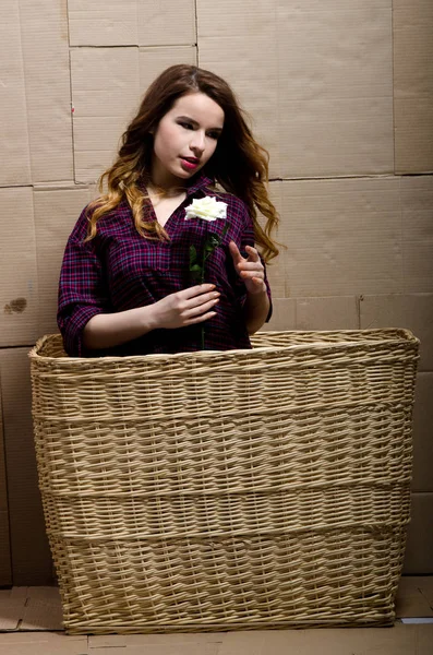 Het meisje in het mandje-shirt — Stockfoto