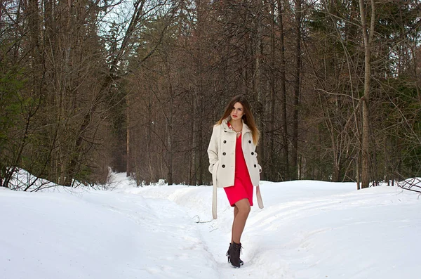 Bella ragazza in abito e cappotto — Foto Stock