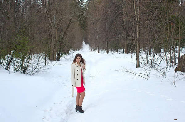 Bella ragazza in abito e cappotto — Foto Stock