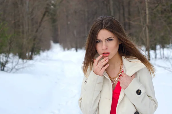 Beautiful girl in dress and coat — Stock Photo, Image