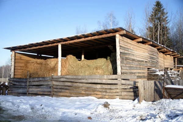 Raccolto Fieno Invernale — Foto Stock