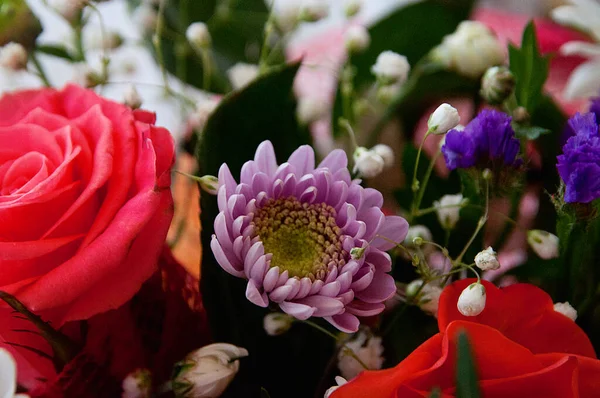 Composición Ramo Flores — Foto de Stock