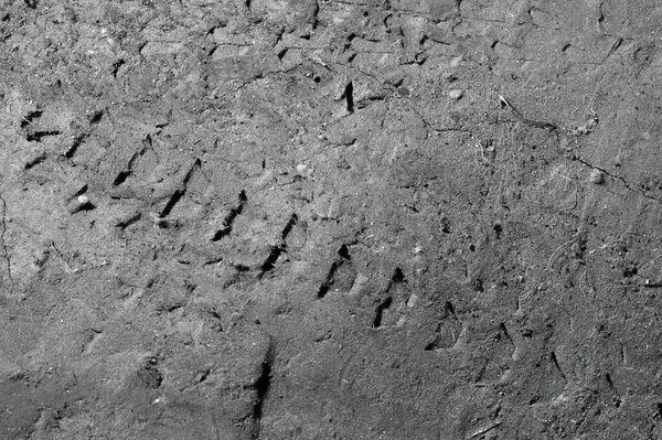 footprint of a bicycle tire on the ground