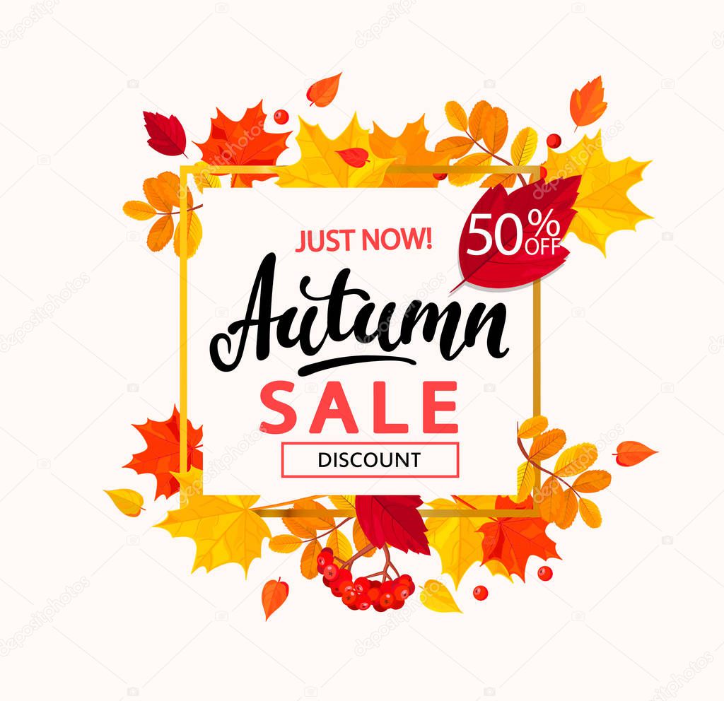Banner for autumn sale