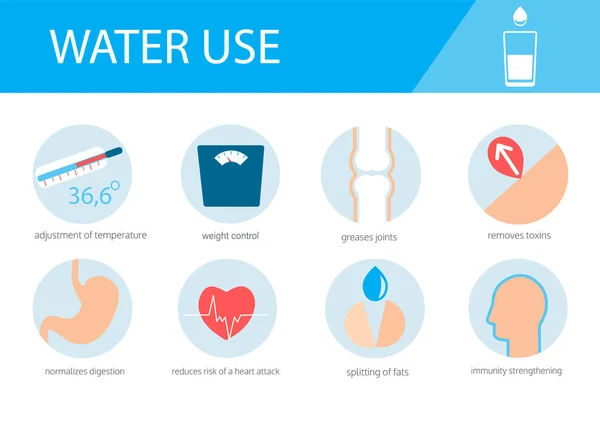 Infographic Using Water Benefits Body Adjustment Temperature Weight Control Greases — Stock Vector