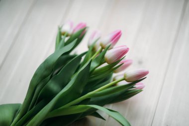 Soluk Pembe Lale yalan ahşap bir masa üzerine