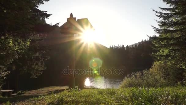 Lago grande en el bosque — Vídeos de Stock