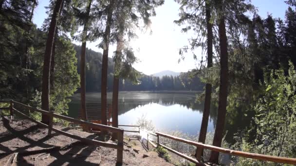 Grande lago nella foresta — Video Stock