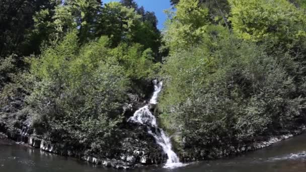 Grand lac dans la forêt 