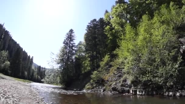 Grande lago na floresta — Vídeo de Stock