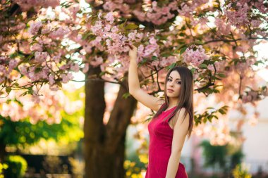 Güzel kız fotoğrafçı için poz. Bahar. Sakura.