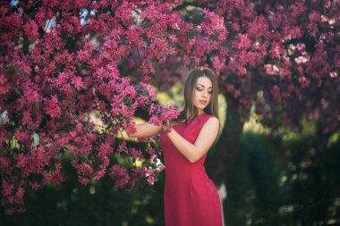 Güzel kız fotoğrafçı için poz. Bahar. Sakura.