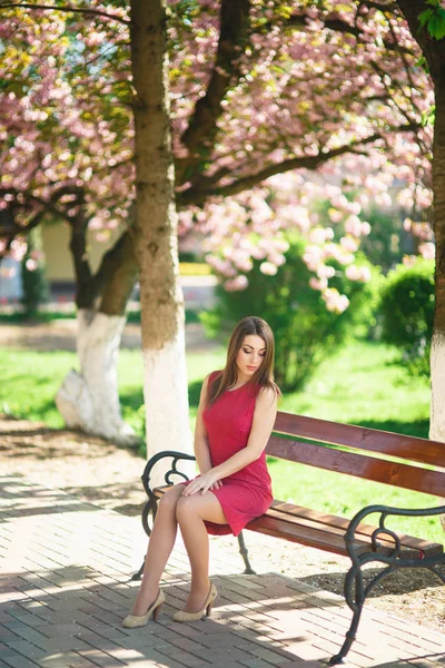 Mooi meisje poseren voor de fotograaf. Lente. Sakura. — Stockfoto