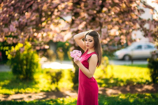 Hermosa chica posando para el fotógrafo. Primavera. Sakura. . —  Fotos de Stock