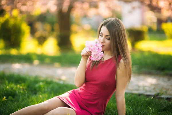 Hermosa chica posando para el fotógrafo. Primavera. Sakura. . —  Fotos de Stock